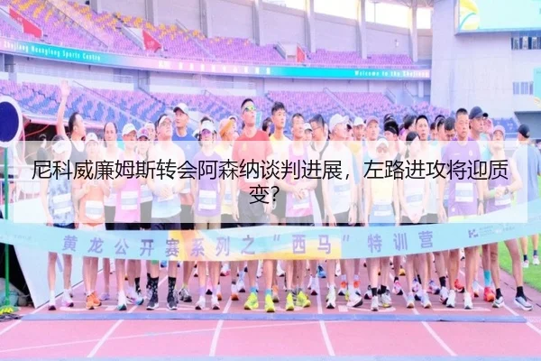 ni-ke-wei-lian-mu-si-zhuan-hui-a-sen-na-tan-pan-jin-zhan-zuo-lu-jin-gong-jiang-ying-zhi-bian-2-553.jpg