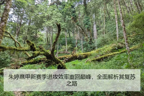 朱婷意甲新赛季进攻效率重回巅峰，全面解析其复苏之路